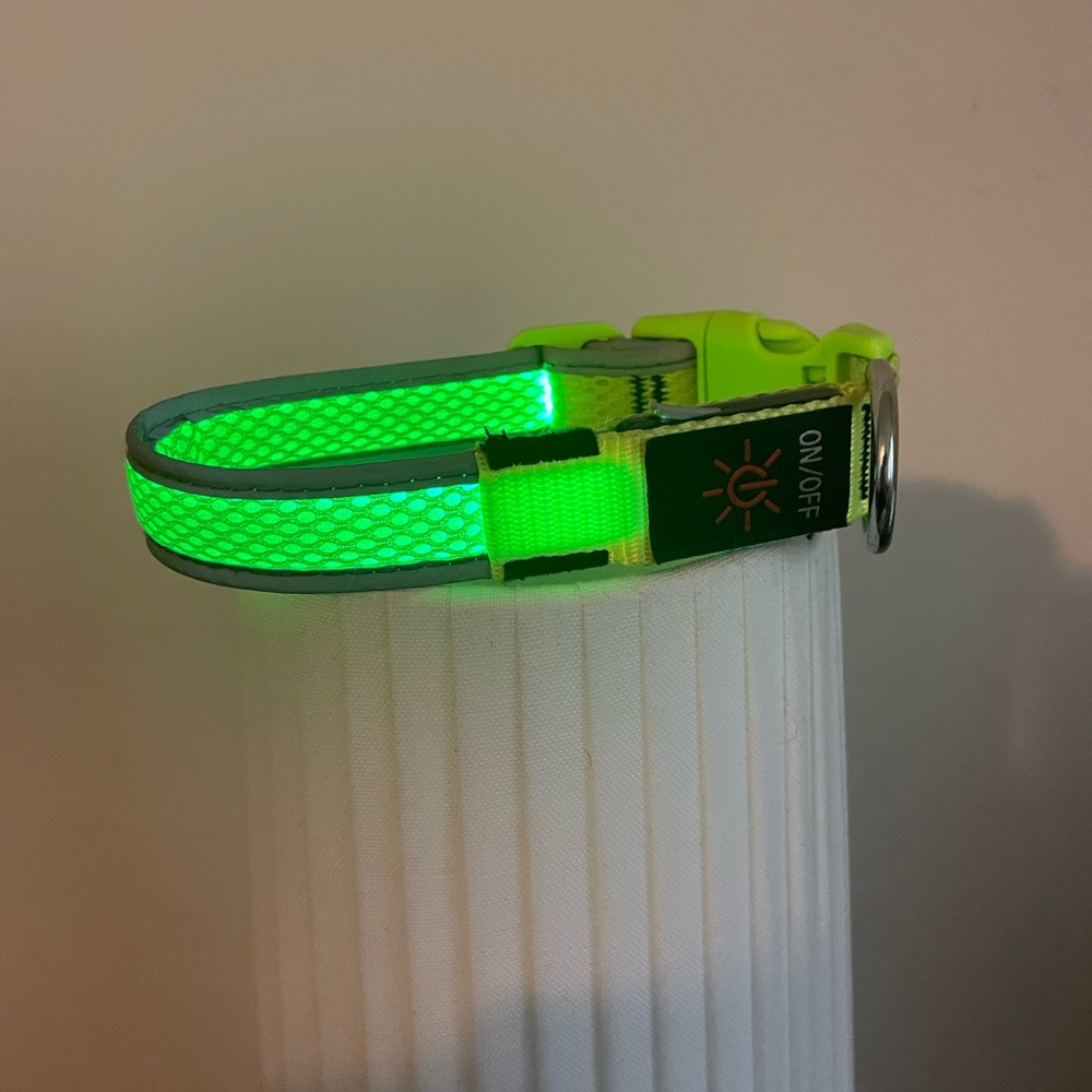 Lighted Dog Collar 3 Settings / USB Charging - Picture 8 of 9